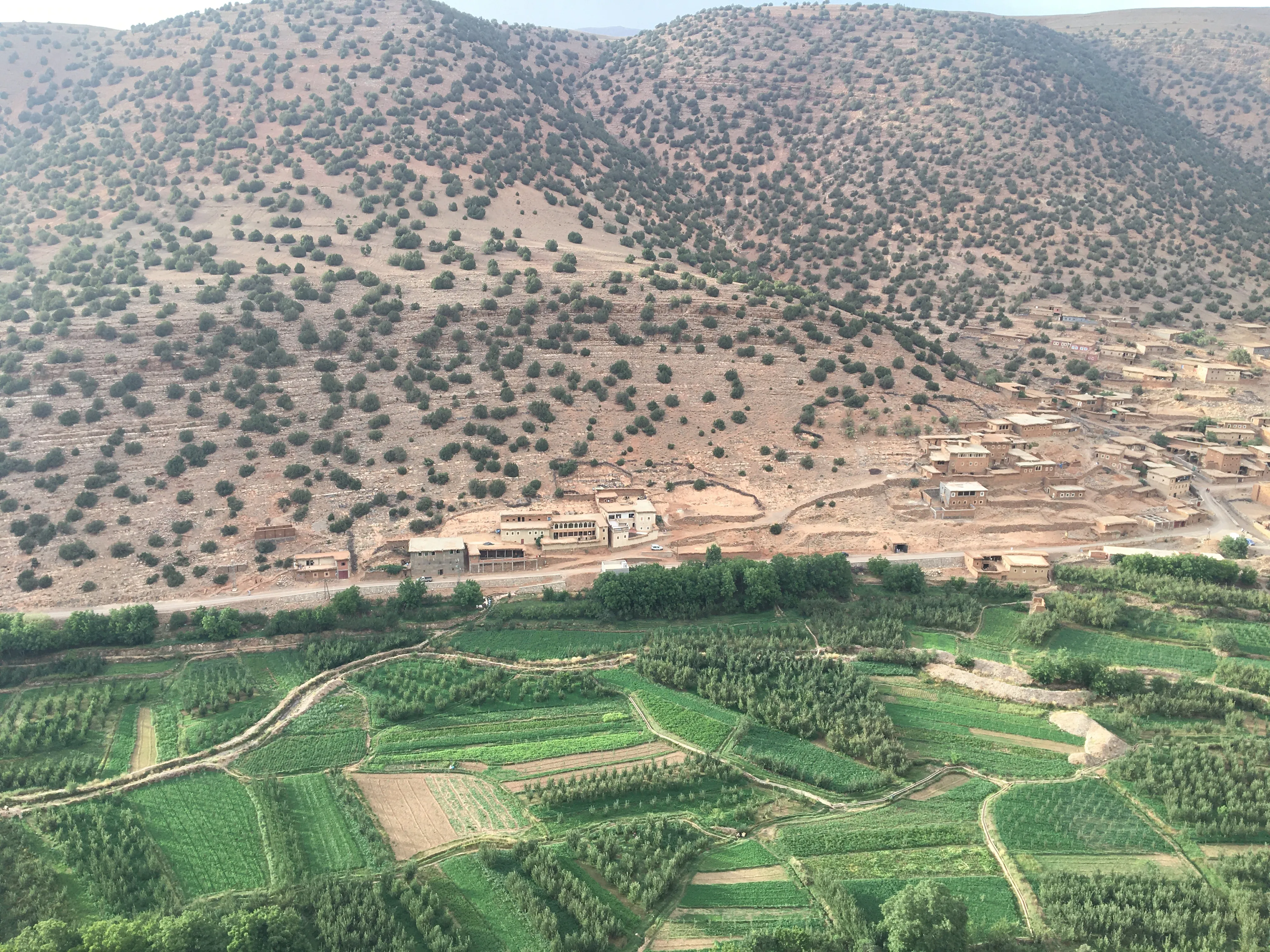 Travaux agricoles - 1